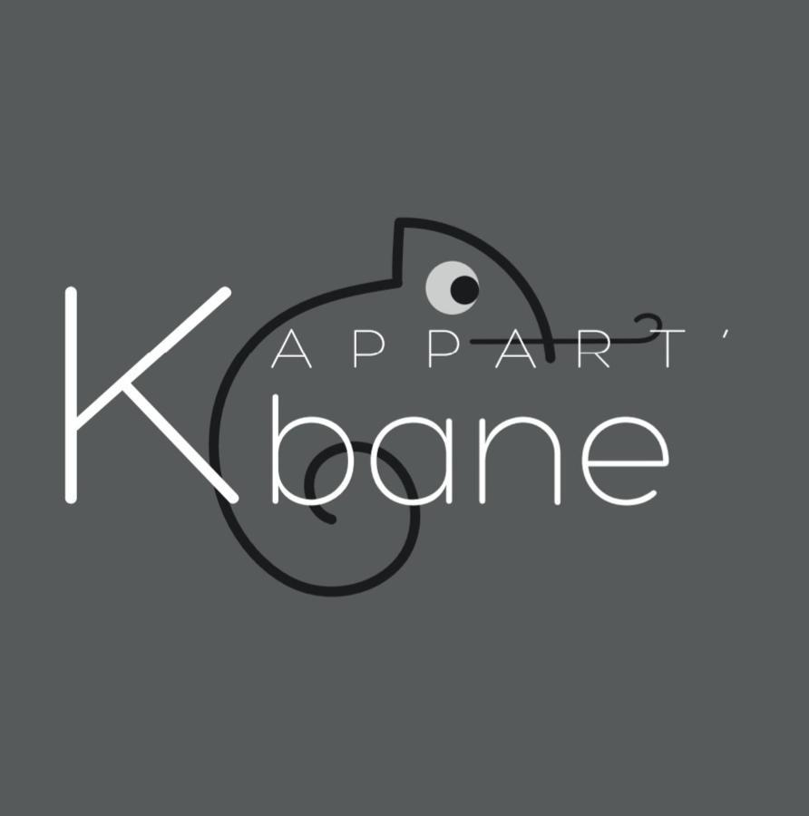 L'Appart K-Bane- Wifi Fibre- Checkin Auto- 2 Pers 勒芒 外观 照片